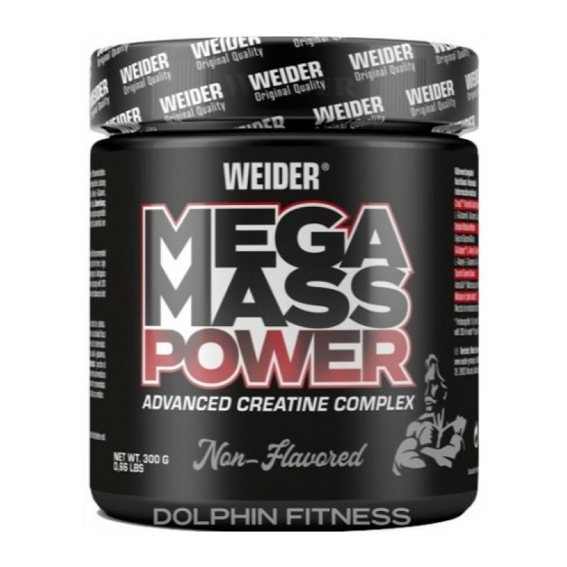 WE Mega Mass Power 300 g Unflavored / Neutralny